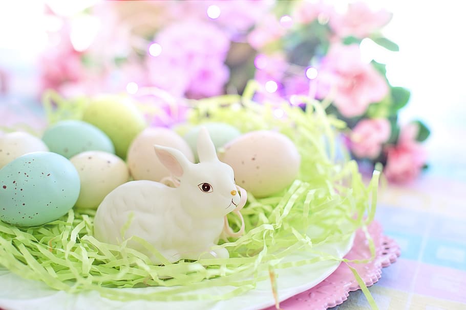 easter, eggs, bunny, pastels, spring, colorful, easter grass HD wallpaper