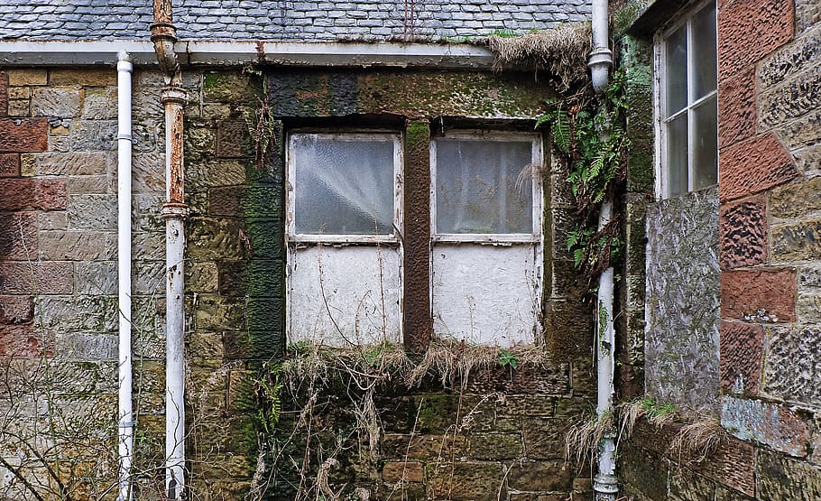 closed white windows, home decor, door, brick, plant, path, walkway HD wallpaper