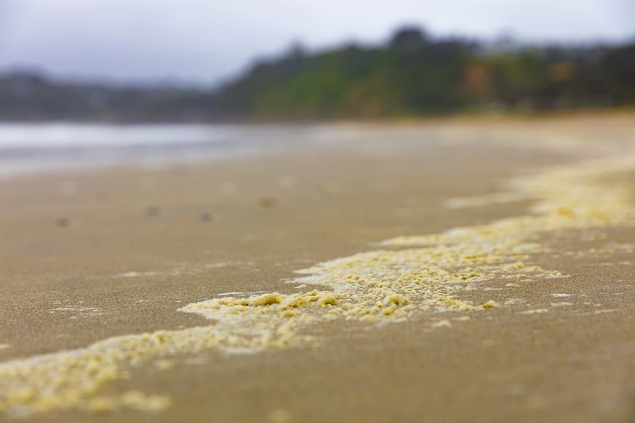 Brown beach. Пляж желтые Пески Липецк. Желтый пляж. Песочно желтый. Жёлтый пляж с пузырями.