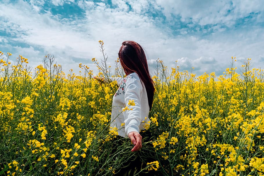 Girl Into The Flower Field, Agriculture, canola, countryside, HD wallpaper