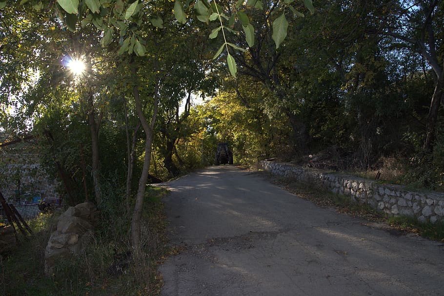 tractor, evening, evening sun, road, path, way, rural, rural road HD wallpaper