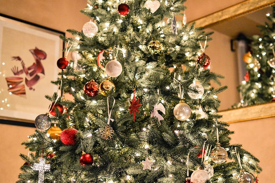 Christmas, tree, decorated, green, christmas tree, christmas decoration HD wallpaper
