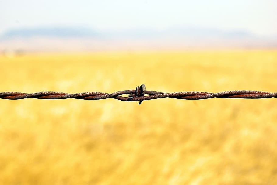 montana barbed wire, fence, metal, barrier, obstacle, demarcation