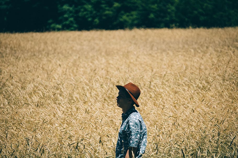 field, man, alone, solo, fashion, fedora, nature, green, trees HD wallpaper