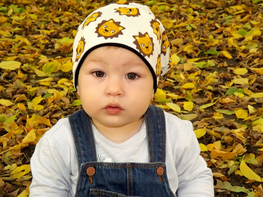 kid, autumn, nature, leaf, fallen, human, activity, child, childhood HD wallpaper