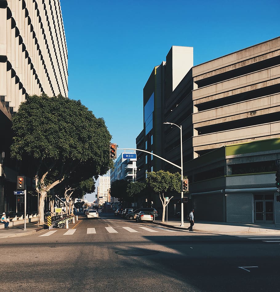 green tree and asphalt road, architecture, building exterior HD wallpaper