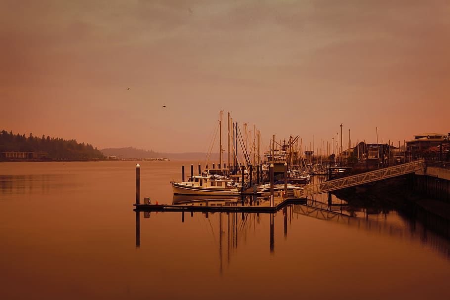 Yachts on Dock, beach, boats, dawn, evening, harbor, harbour HD wallpaper