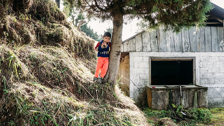 boy, shack, trees, hill, grass, guatemala, central america HD wallpaper