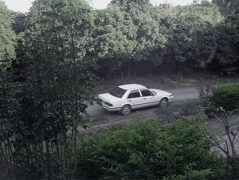 car, vintage, vietma, alone, sad, plant, tree, motor vehicle HD wallpaper