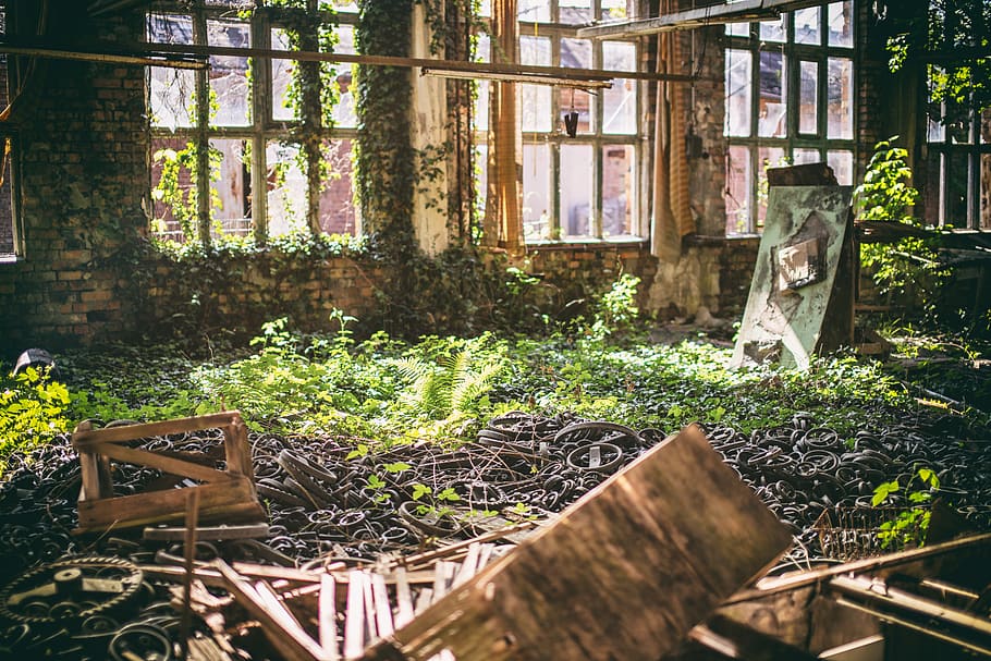 concrete building during daytime, plant, architecture, built structure HD wallpaper