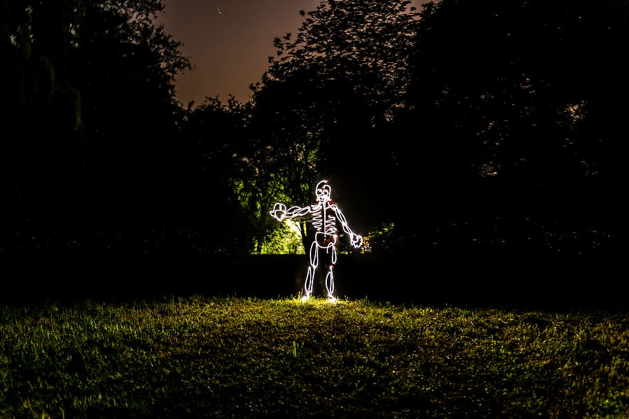 neon light skeleton garden decor, real people, plant, field, land HD wallpaper