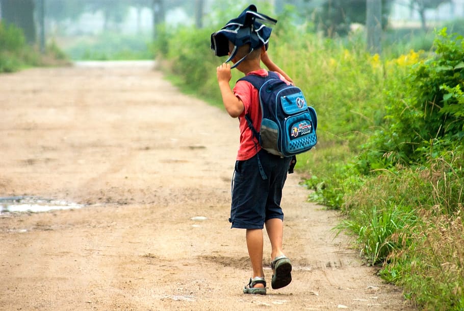 children, summer, school, boy, children's, morning, attendance HD wallpaper