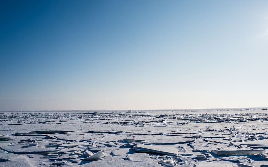 Snow Field, cold, daylight, environment, floating, zing, frost HD wallpaper