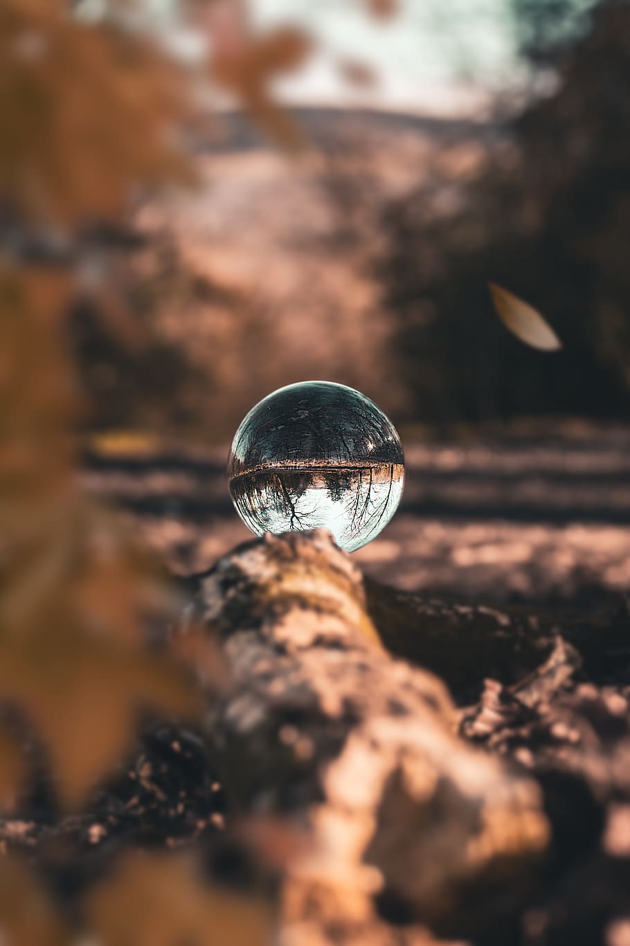 Glass Ball on Wood, autumn, blur, blurred background, crystal ball HD wallpaper