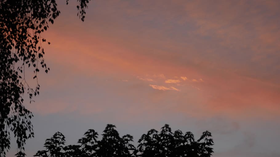 hdwallpaper, nature, background, landscape, sky, cloud, plants HD wallpaper