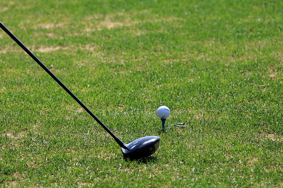 golf, green, field, grass, sport, golfers, ball, club, golf balls HD wallpaper