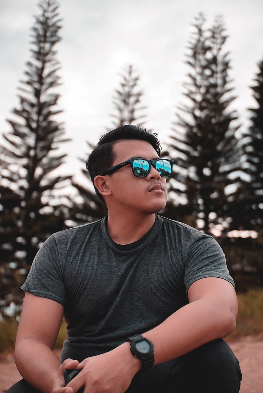 Man in Gray Crew-neck T-shirt Beside Pine Trees, eyewear, fine-looking HD wallpaper