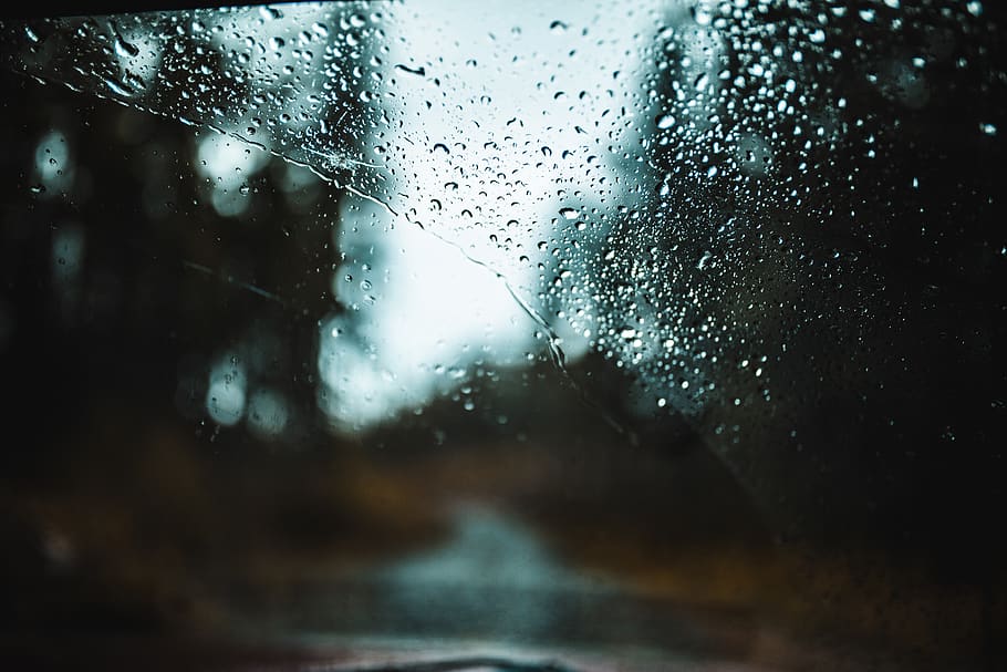 windshield, united states, everson, everson washington, droplet HD wallpaper