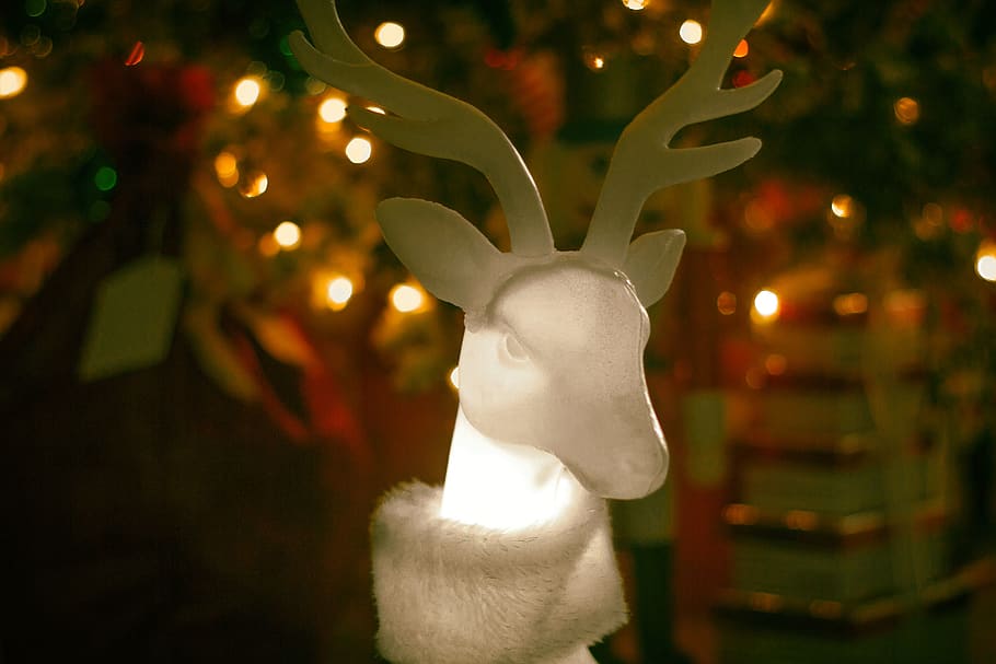 deer, christmas, decorations, winter, christmas decorations HD wallpaper