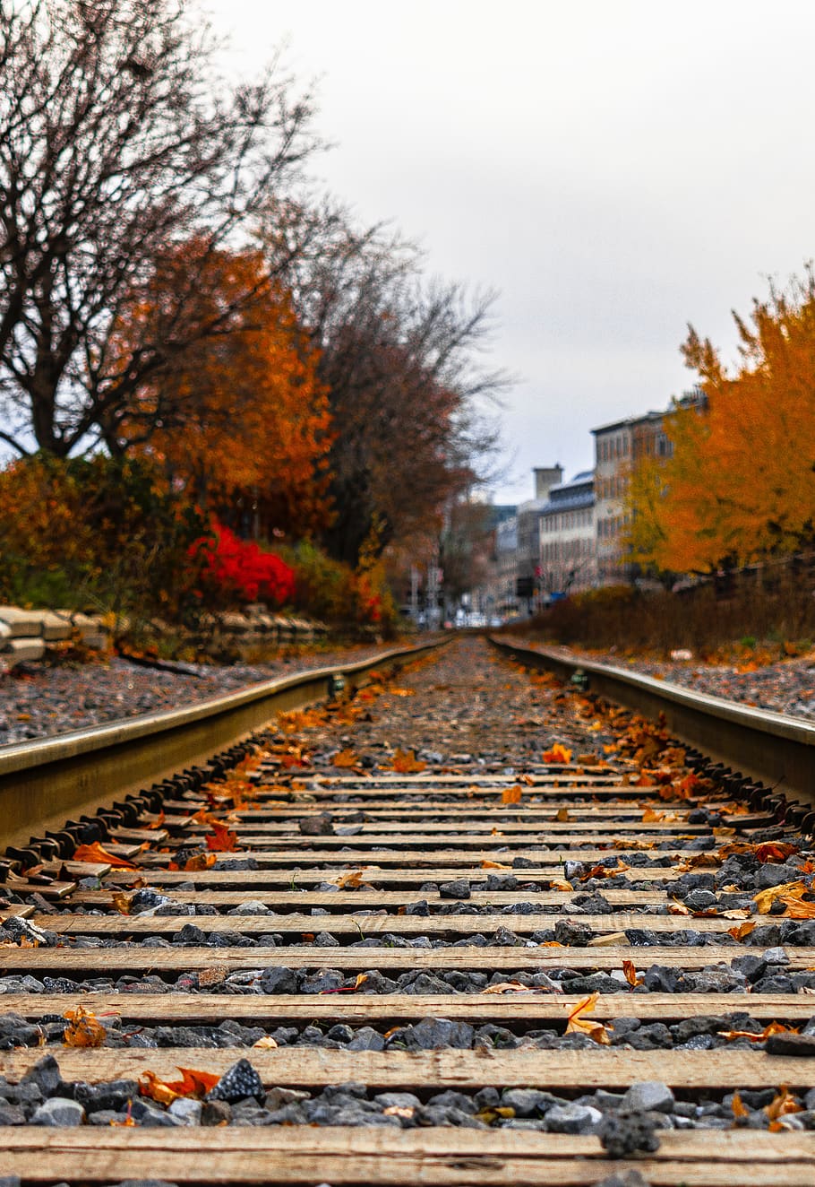 rail, train track, railway, transportation, canada, montreal, HD wallpaper