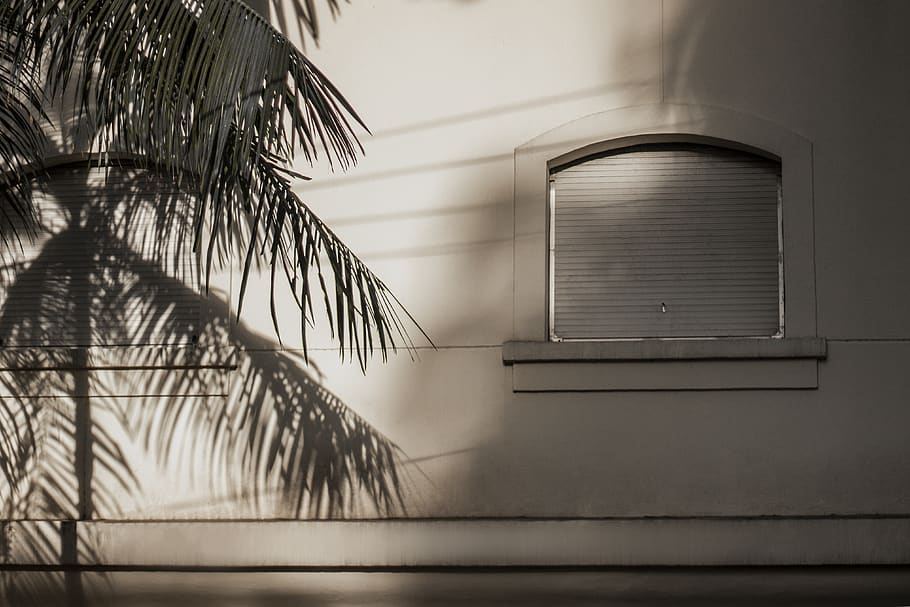 closed white window outdoors, architecture, built structure, building HD wallpaper