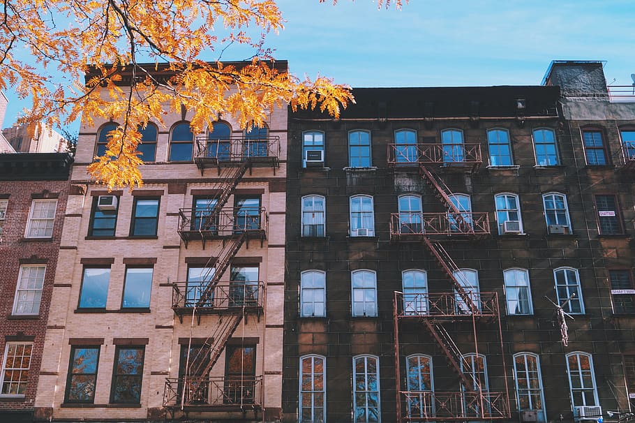 architecture, building, infrastructure, leaf, fall, tree, autumn HD wallpaper
