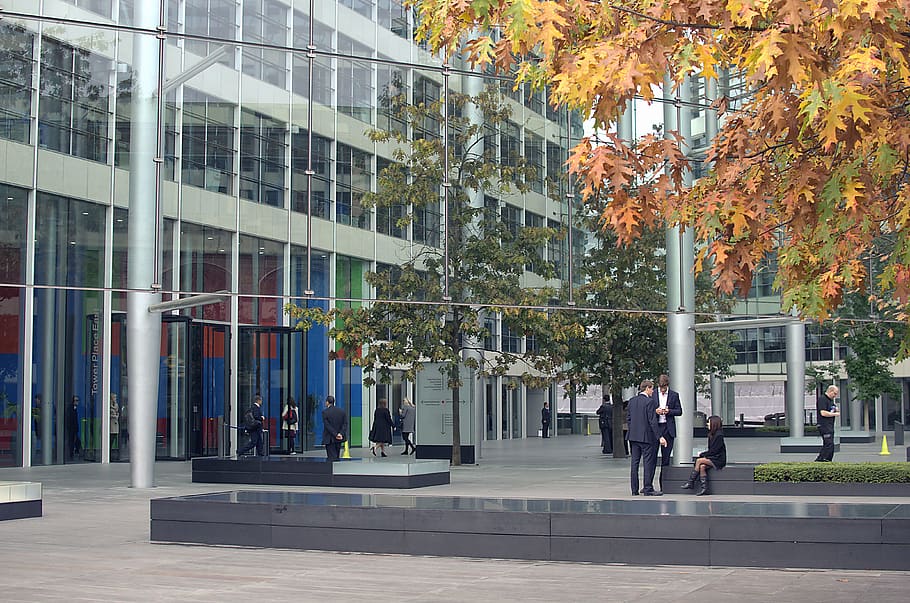 england, london, architecture, tree, autumn, building exterior HD wallpaper