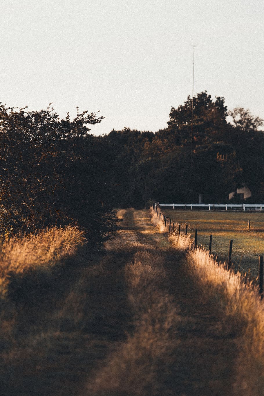green grass lawn, road, gravel, dirt road, nature, outdoors, path HD wallpaper