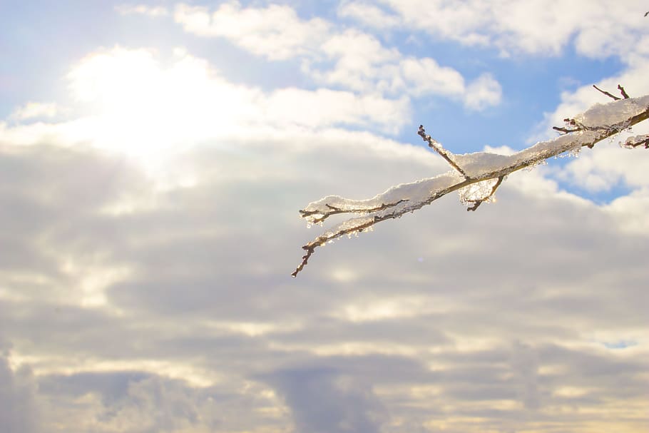 winter, drop, water, sun, clouds, rime, january, february, drops HD wallpaper
