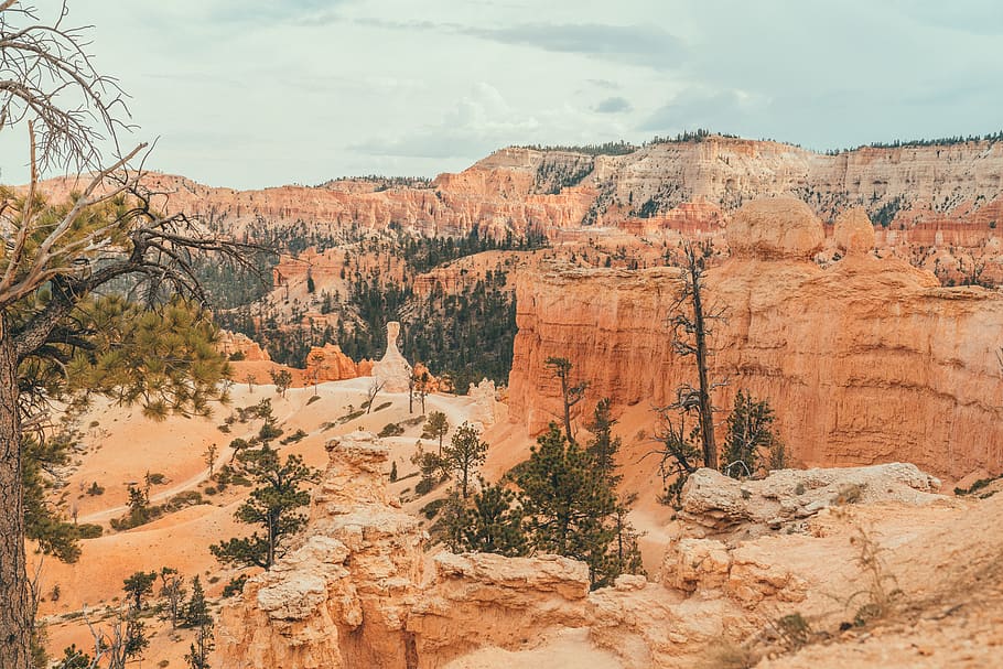 canyon during daytime, nature, mountain, outdoors, valley, plateau HD wallpaper