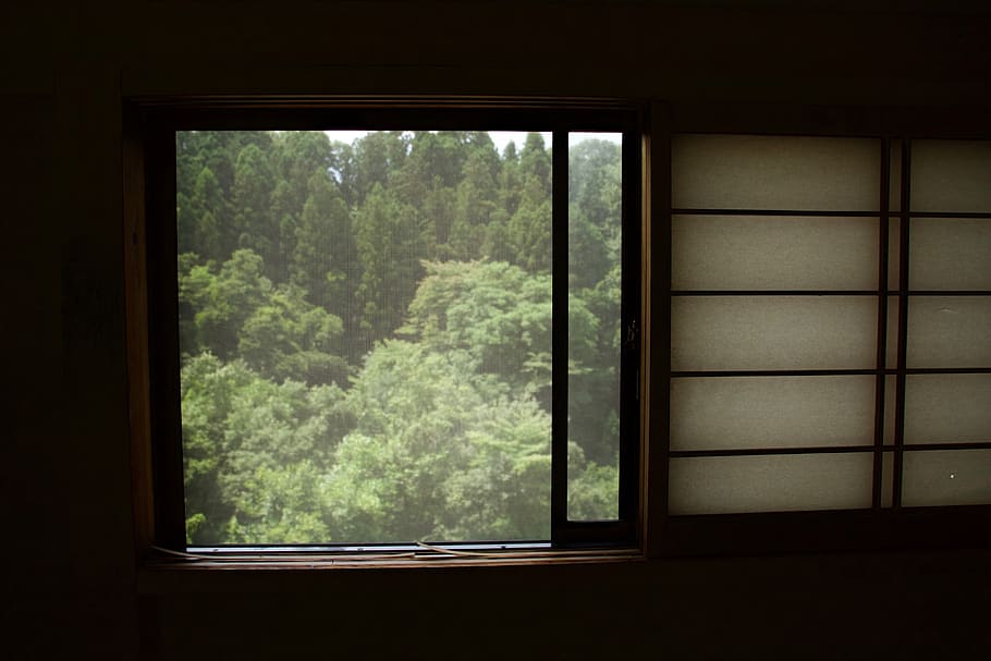 window, nature, trees, green, mountain, woods, forest, indoors HD wallpaper