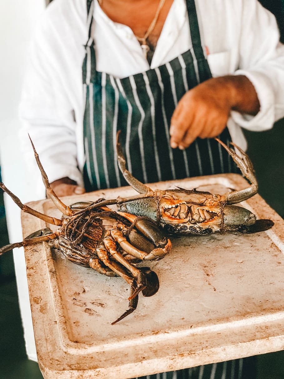two mud crabs, one person, crustacean, seafood, midsection, holding HD wallpaper