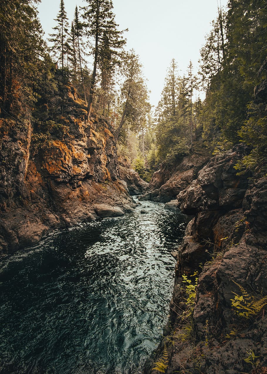 green river between trees and rock formations, beauty in nature HD wallpaper