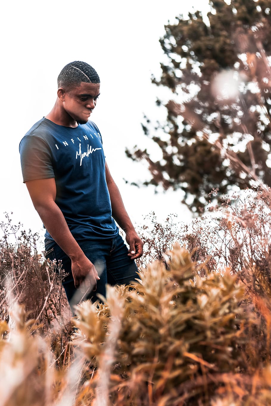 Man Wearing Blue Crew-neck T-shirt Standing Near the Tree Outdoor HD wallpaper