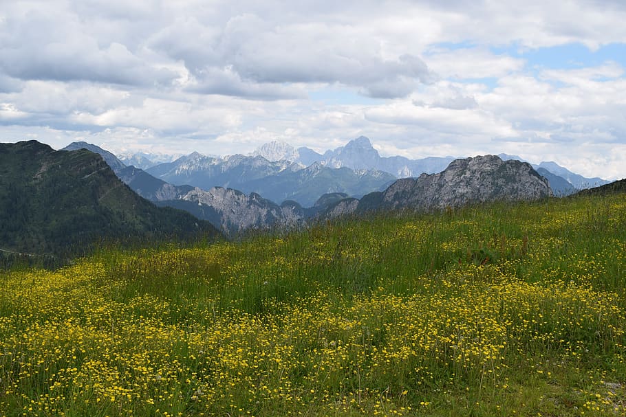 alpine, nature, mountains, panorama, summer, scenic, landscape HD wallpaper
