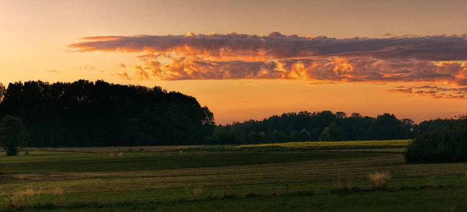 panorama, sunset, nature, field, grass, landscape, evening, HD wallpaper
