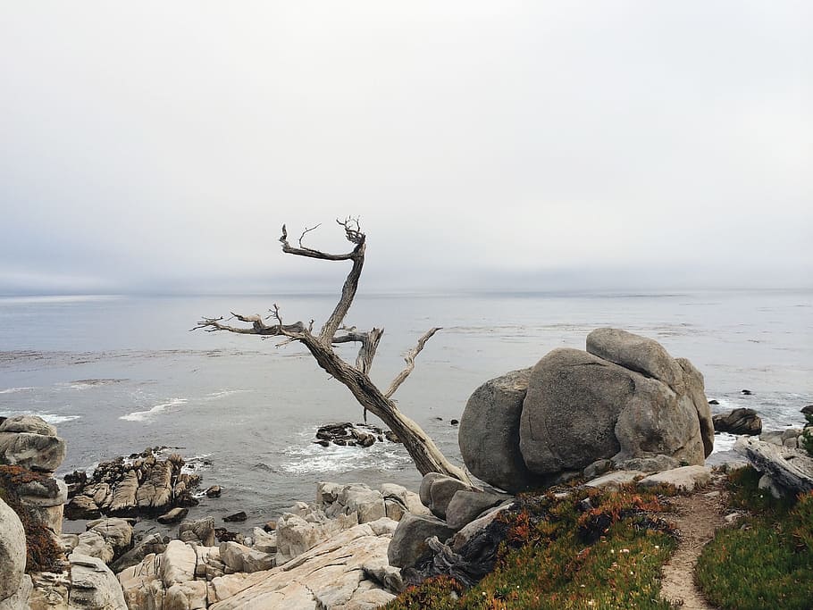 shore, water, flow, beach, sea, blue, nature, landscape, rock HD wallpaper