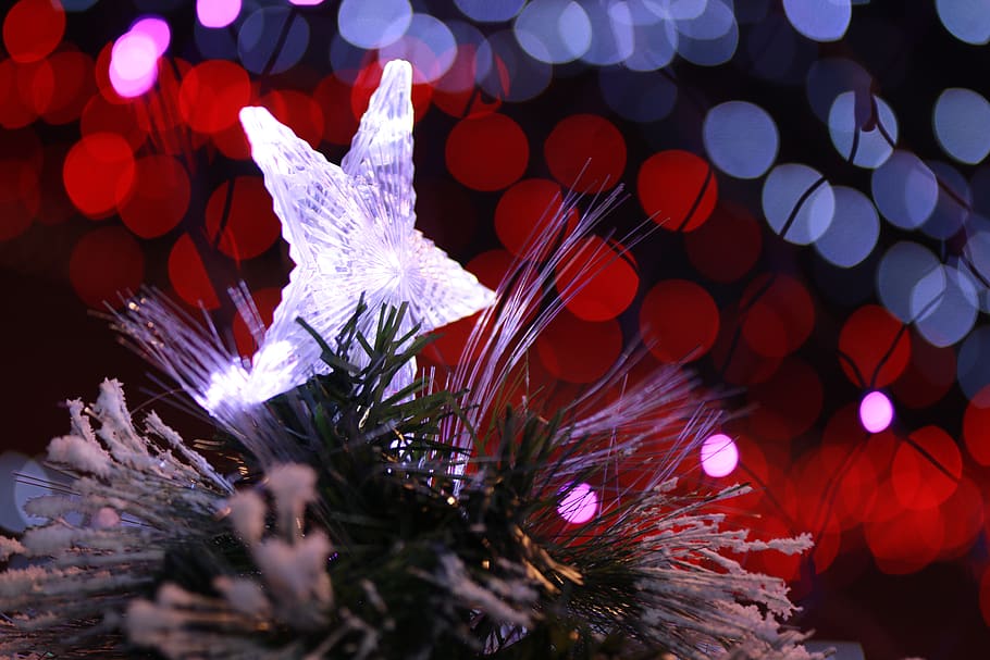 lighting, ornament, graphics, art, pattern, plant, tree, floral design HD wallpaper