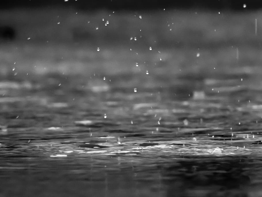 raining, rain drops, water, wet, lake, selective focus, no people HD wallpaper