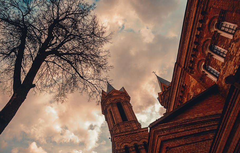 tree, church, sky, sunset, vitebsk, warm weather, belarus, clouds HD wallpaper