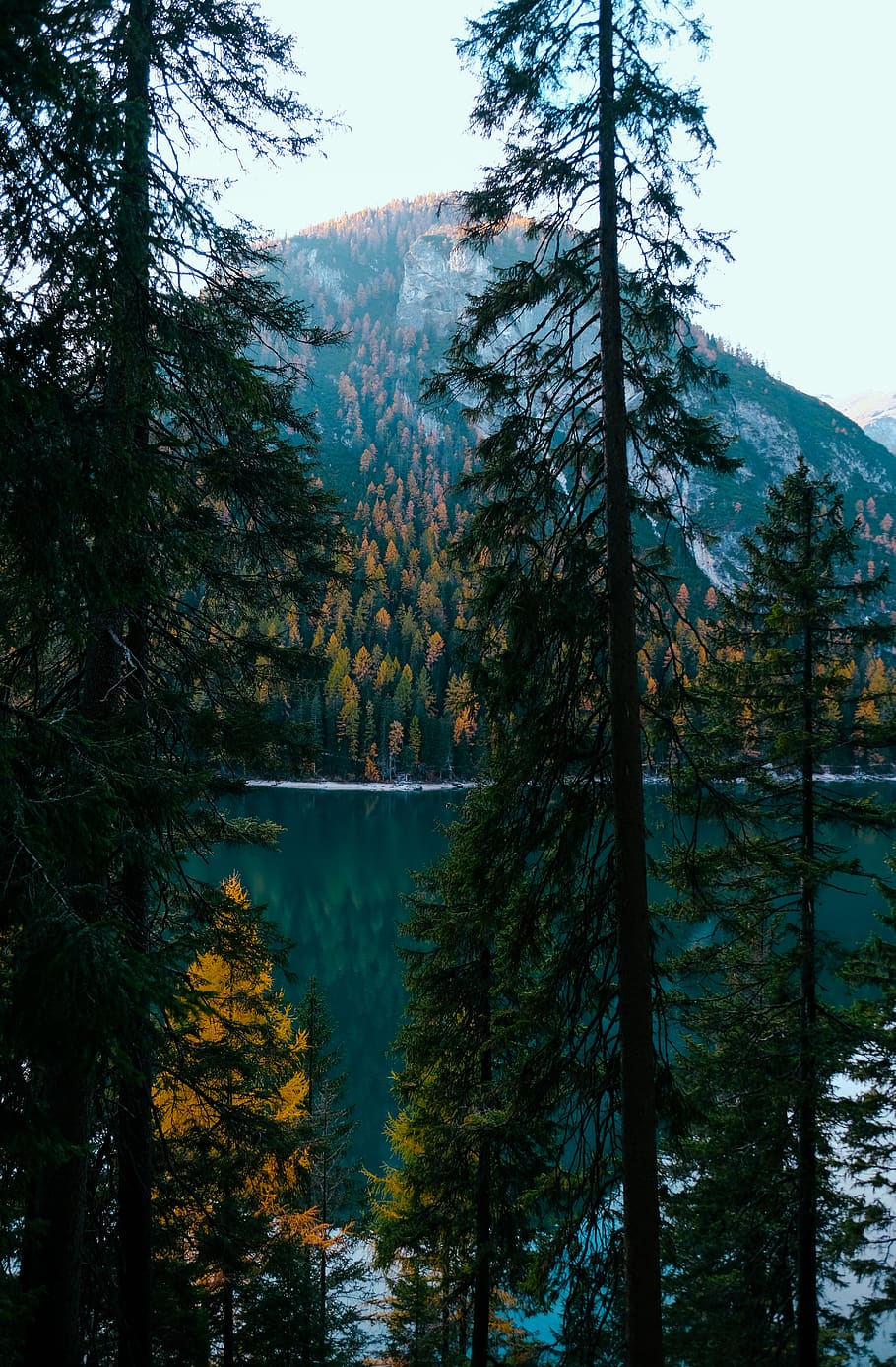Lake Moraine, clouds, daylight, environment, foggy, forest, landscape HD wallpaper
