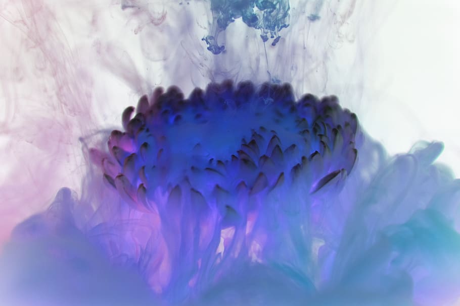 abstraction, acrylic, aquatic, art, artistic, background, blue HD wallpaper