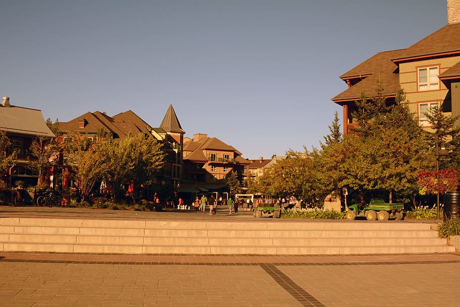 tree, town, city, walkway, downtown, vacation, travel, suburb HD wallpaper