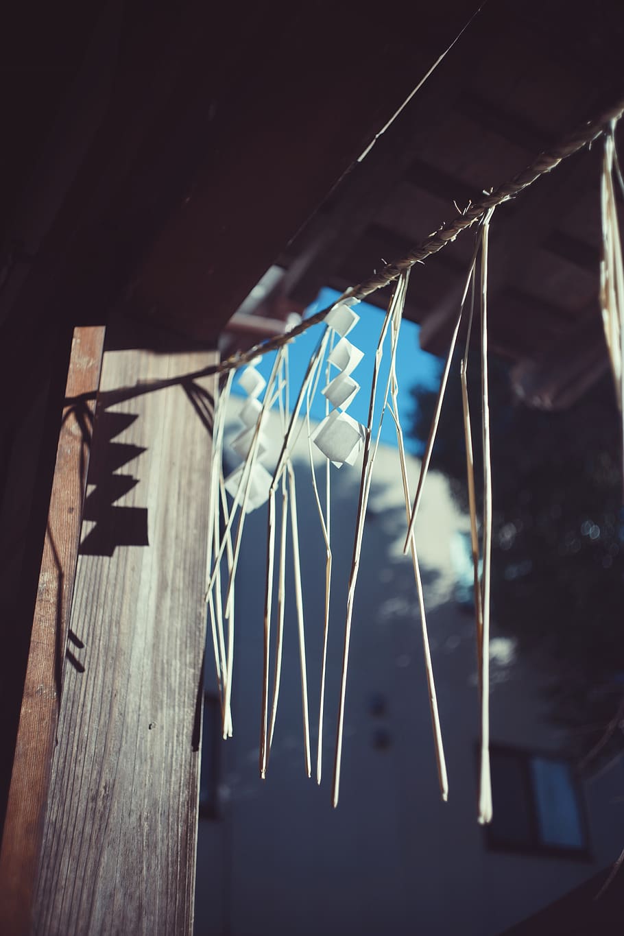 hanging, no people, low angle view, focus on foreground, close-up HD wallpaper