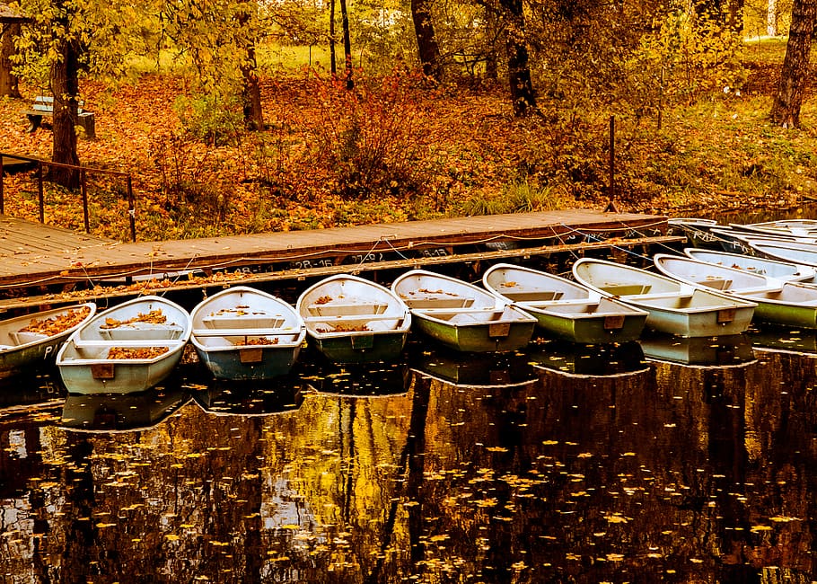 forest, fall, boat, autumn, nature, outdoor, lake, trees, leaves HD wallpaper