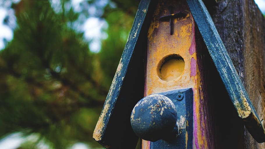 bird house, rustic, faded, metal, focus on foreground, no people HD wallpaper