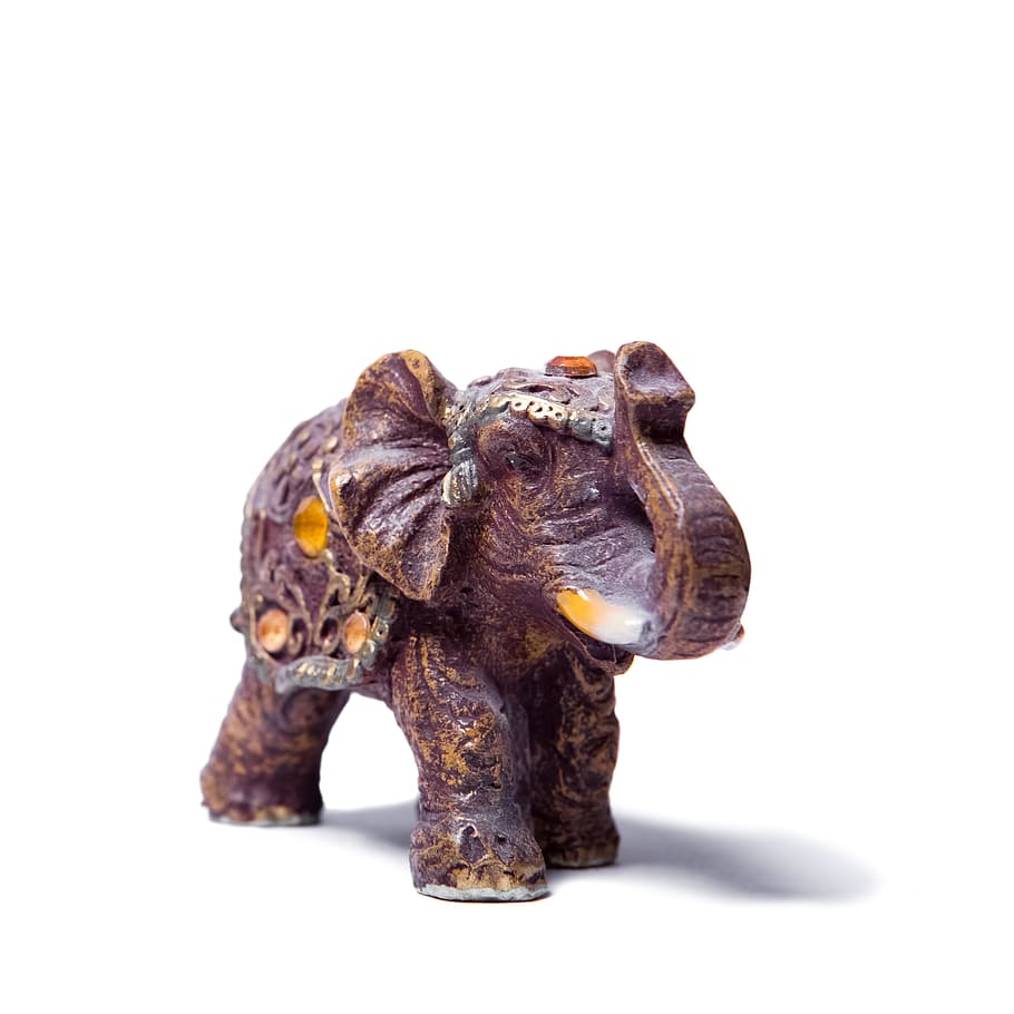animal, background, cutout, elephant, heavy, isolated, large HD wallpaper
