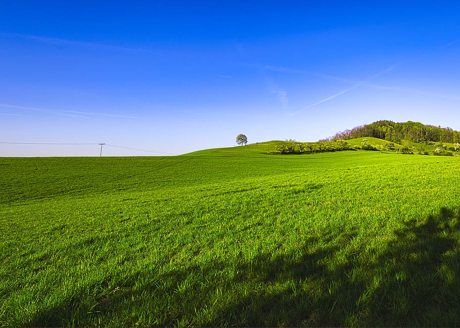 landscape, hill, meadow, grass, nature, green, sky, tree, mood HD wallpaper