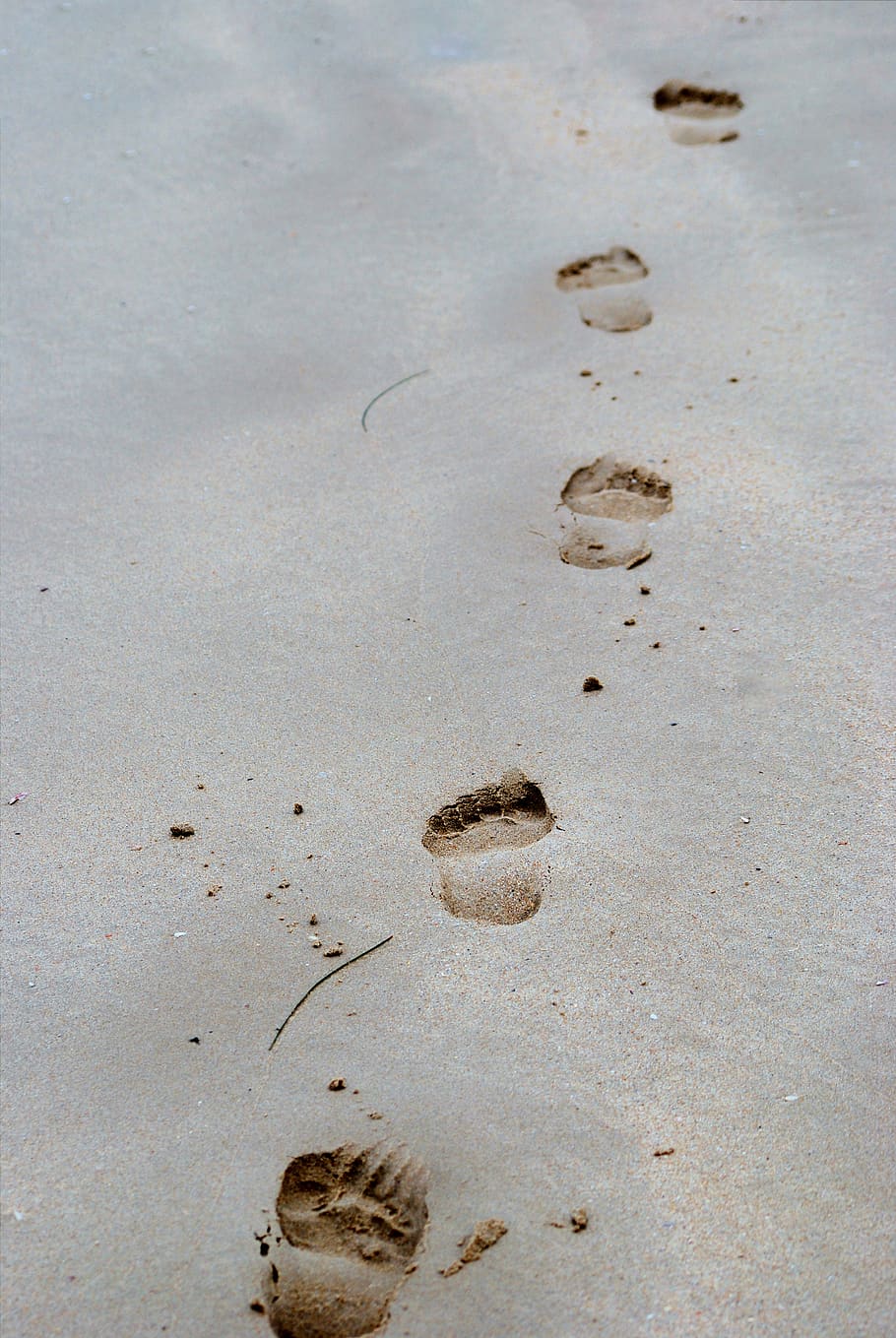 Footprints On Sand, beach, land, no people, paw print, high angle view, HD wallpaper