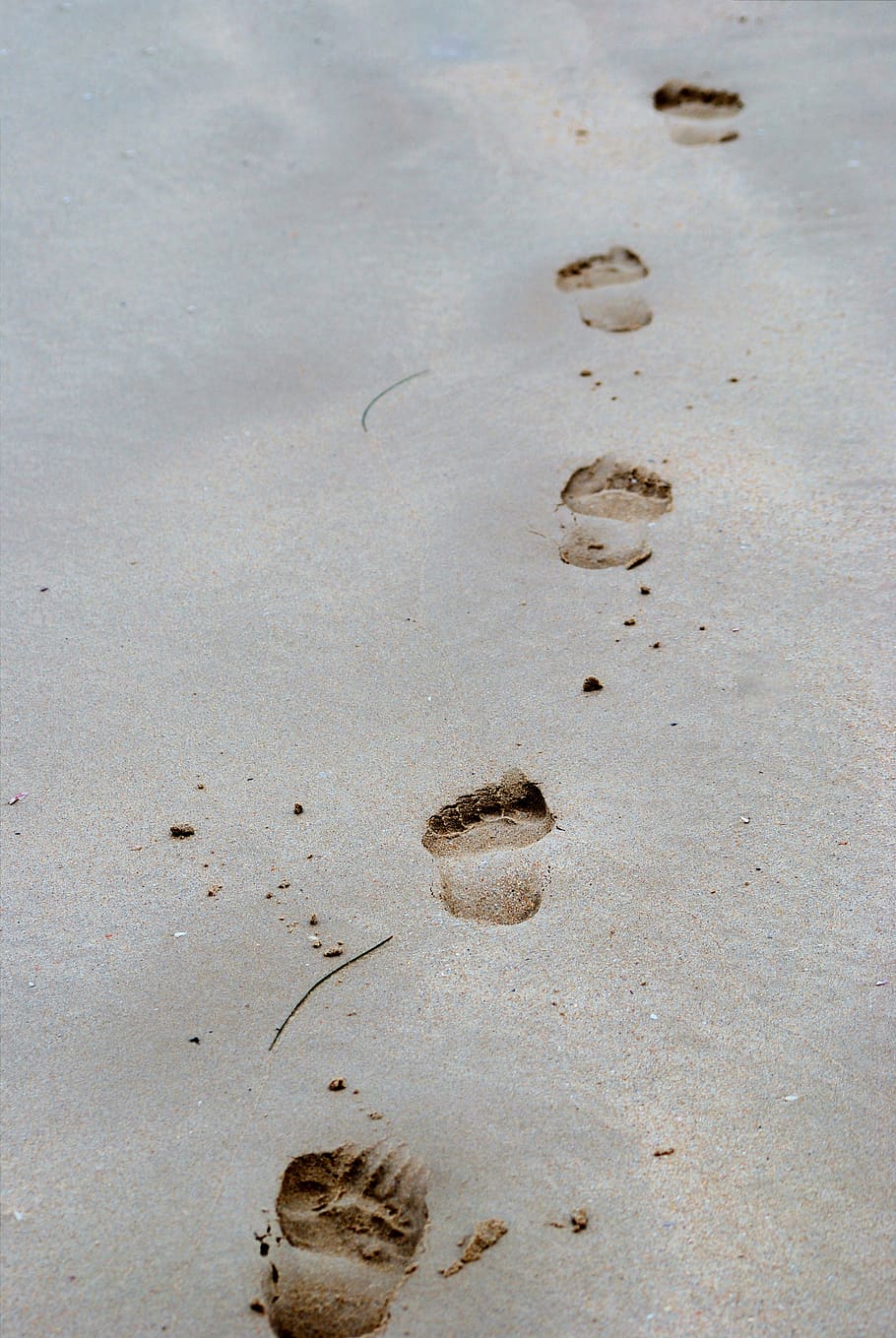 Footprints On Sand, beach, land, no people, paw print, high angle view HD wallpaper